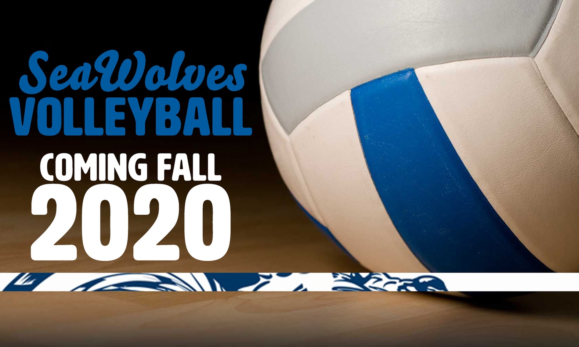 SMCC to add Women's Volleyball in fall 2020